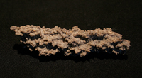 Fulgurite1.jpg